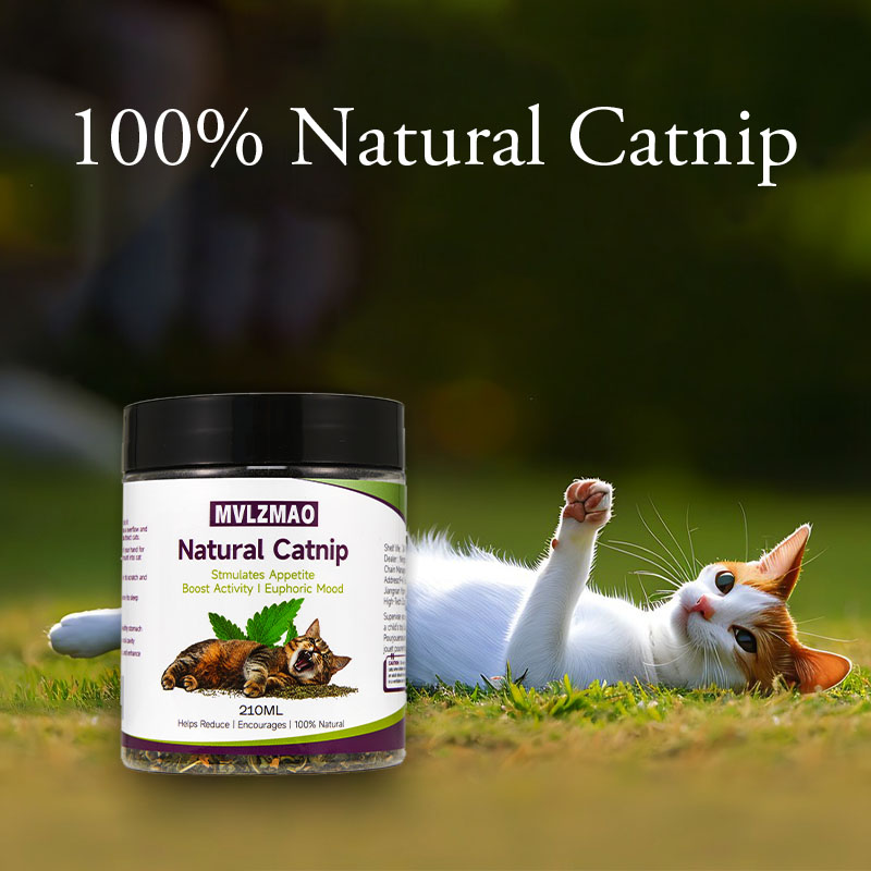 고양이 장난감 - 고양이를 위한 실버바인 캣닢, 100 - Herbal Wellness Products 리뷰 및 가격